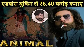 animal movie advance booking report | animal movie review