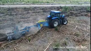 Despejador de Ramas con Subsolador Forestal - J.Hartwich