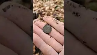 Co kryje wnętrze spr&oacute;chniałego pnia? 🤔 #metaldetecting #dlaciebie #metaldetectingfinds #metaldetect