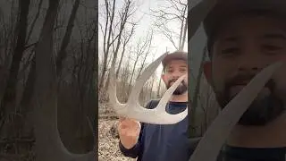 The big 10 shed ! #illinois #deer #shedseason #wildlife #river #hunting