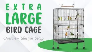The 2-Minute Bird Cage Hack for Happy Large Birds