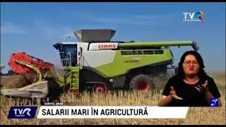 Salarii de 15000- 18000 lei net lunar, chiar in Rom&acirc;nia. &Icirc;n agricultură, la Curtici #SatulMeu @TVRTM