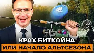 🚨 КРАХ БИТКОЙНА ???  МЫ ВСЕ СЕЙЧАС ПОПАДАЕМ В ЛОВУШКУ ЛИКВИДНОСТИ | ОБЗОР КРИПТОРЫНКА 16.02.2026