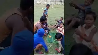 সবাই মিলে কুল মাখা | December 25, 2022