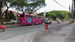 Mega Bus Lines Ordinary Bus U-Tour Replica