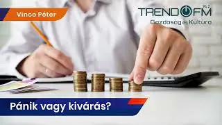 Befektetési stratégiák: hova tegyük a pénzünket idén? | Trend FM