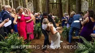Whispering Springs Wilderness Retreat Wedding | Sydney & Josh | Forest Wedding Film
