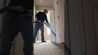 The life of a Apartment Carpet Cleaner