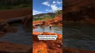 🦠 Avoid the brain-eating amoeba by keeping your head above water in the hot springs ♨️ #hotsprings