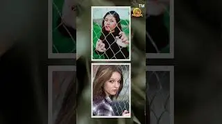 Garden Fencing Contractors #viral #yiutubeviralshorts #agriculture #shortsvideo #reelsvideo