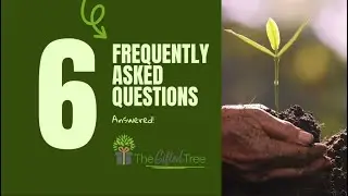 6 Key Questions Answered: Why Plant a Memorial Tree with The Gifted Tree?