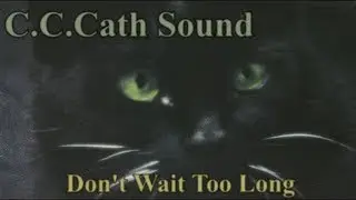 C.C.Catch - Don't Wait Too Long (Ryan Benson vers.2017)