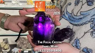 The Focal Crystal - What's Hot In Tucson: 2026 LIVE