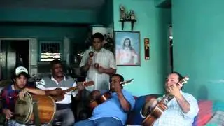 Maribi, golpe larense