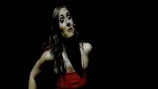 El Fallo Positivo - Jannette Chao