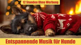 Entspannungsmusik für Hunde - 12 Stunden Ohne Werbung | Musik gegen Trennungsangst_vol.2