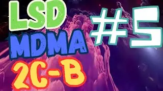 LSD, MDMA & 2C-B - Test du Ali Flip #5