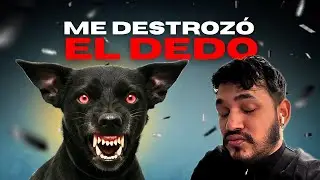 ESTE PERRO ME MUERDE EL DEDO🚨 SE PONE DEMASIADO LOCO ⚠️