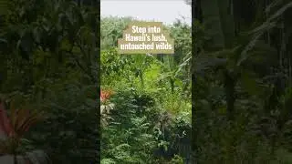 Discover Sustainable Farm Tours in Hawaii