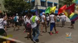 Familiar Face To Be Grand Marshall Of Gay Pride Parade In Miami Beach