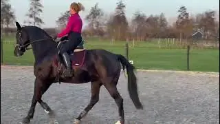 Trainen thuis januari 26