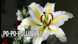 Po-po-pollueur!