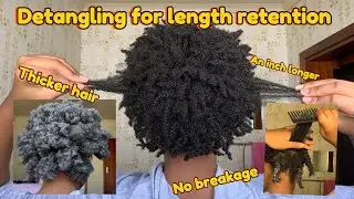 HOW TO DETANGLE MATTED 4C HAIR FOR MAXIMUM LENGTH