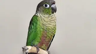 hanging out relaxing