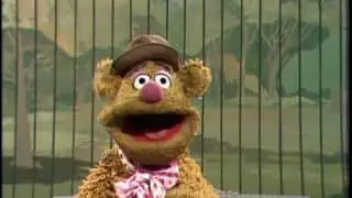 1976 1981, ATV The Muppet Show