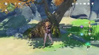 Genshin Impact - Farming Noctilucous Jade
