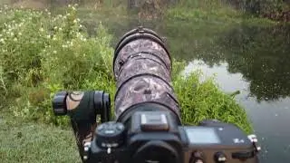 Nikon Z9 - The Flagship Camera