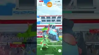 Mega Raid Draft V1 Round 5 (Elm): Mega Swampert Solo, Water Gun/Muddy Water, Sunny, No AE, No Legacy