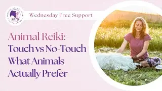 Animal Reiki: Touch vs No-Touch &mdash; What Animals Actually Prefer
