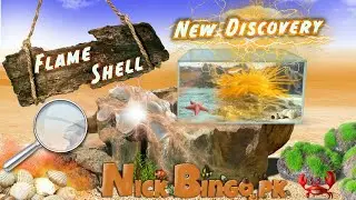 Discover rare Flame Shell ! Nick Bingo pk