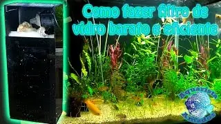 Como fazer filtro interno de vidro barato e eficiente - diy