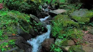 4K-HDR | Calming River Flow Ambience to Ease Stress | Natural Sleep Sounds for Deep Rest and Healing