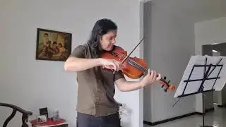 Stamitz Viola Concerto em R&eacute; Maior, Op. 1 - I. Risoluto (Com Cad&ecirc;ncia)