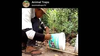 Amazing Animal Trap || Amazing Quick Monkey Trap Using Buckets