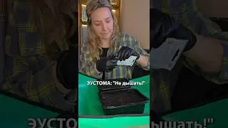 Растение для тех, кто никуда не торопится #shorts