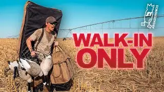 DENIED EVERYWHERE&hellip; UNTIL THIS CALL! Walk-In Freelance Honker Limits | #ROADSHOW25 HUNT 21