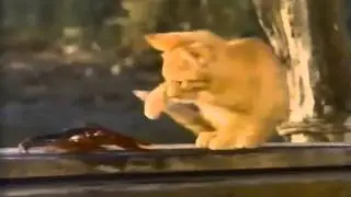 Milo and Otis 300 Mash-Up Trailer