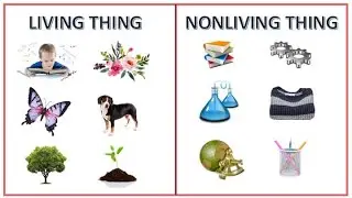 Living and Nonliving Things | #hannacreativehub  #science #education #children