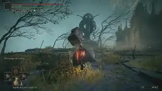 Elden Ring: the Strength experience