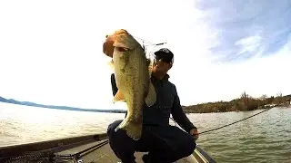 Alabama Rig + Big Bass = Spring Bass Fishing Fun!