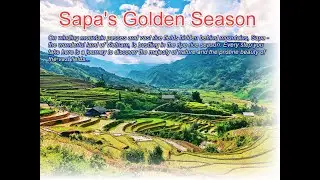 Sapa's Golden Season! @TheMostBeautifulSights (HD video, high quality sound)