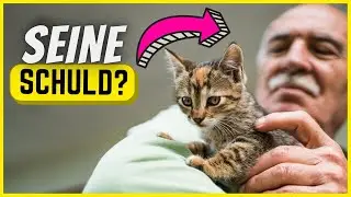 7 Gr&uuml;nde, warum die meisten Katzen nicht alt werden (und was du tun kannst) 🐈