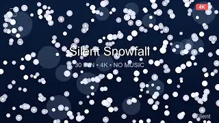 Silent Snowfall Particles ❄️ 30 Minutes 4K Ambient Video - No Music, Pure Visual Relaxation
