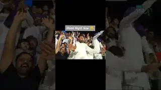 Quetta Fans Dancing💖 #cricketshorts #crickethighlights #cricketfans #cricketmoments [QuickCrick-1]