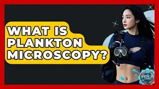 What Is Plankton Microscopy? - The Marine Life Explorer
