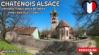 CHATENOIS IN ALSACE - UNFORGETTABLE WALK BETWEEN VINES AND OLD STONES - NEAR STRASBOURG COLMAR